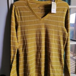 Sonoma Misses, Amber Green Sweater, Size M